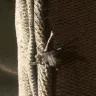 Needle & Shears Custom Decor - Couch Slipcover - Photo 2
