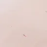 CalAtlantic Homes - property damage, negligence, health issues - Photo 1