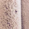 CalAtlantic Homes - property damage, negligence, health issues - Photo 4