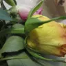 Delightful Bouquets - quality of flowers