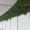 TruGreen - killed my sod after each spray - Photo 2