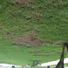 TruGreen - killed my sod after each spray - Photo 3