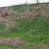 TruGreen - killed my sod after each spray - Photo 5