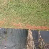 TruGreen - killed my sod after each spray