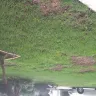 TruGreen - killed my sod after each spray - Photo 8
