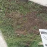 TruGreen - killed my sod after each spray - Photo 10