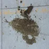 Dollar General - dirty outside store - Photo 5