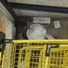 Dollar General - dirty outside store