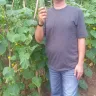 Cv Sahara - Indonesia - Abdul Majid - Cheated us after taking our cash - Photo 3