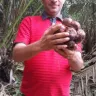 Cv Sahara - Indonesia - Abdul Majid - Cheated us after taking our cash - Photo 4