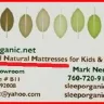 Berkeley Ergonomics - coil mattresses contain synthetic polypropylene - berkeley ergonomics mattress review