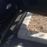 Travelers Insurance - A Premises slip and fall - Photo 4