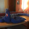 Carnival Cruise Lines - accommodations, service, experience entertainment - Photo 2