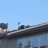 DirecTV - installation and dish removal - Photo 1