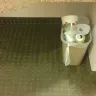 Motel 6 - room / our stay / lies - Photo 1