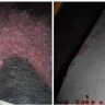 Watson Realty - Misrepresented real estate - Photo 2