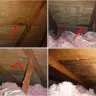 Watson Realty - Misrepresented real estate - Photo 7