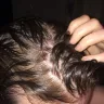 Chaz Dean Studio - Wen cleansing conditioner - Photo 2