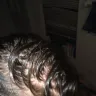Chaz Dean Studio - Wen cleansing conditioner - Photo 3