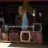 Steve Welch Dog Training - Bad guy - Photo 7