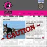 Dino Bull Terriers - Unethical breeding practices / corruption - Photo 1