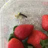 Woolworths - driscoll's strawberries - Photo 2