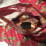 Woolworths - roast chicken with foreign object inside. - Photo 2