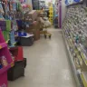 Dollar General - disorderly store