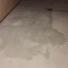 Irvine Company - corrupt landlord, illegal billing schemes, fraud, slumlord - Photo 16