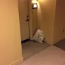 Irvine Company - corrupt landlord, illegal billing schemes, fraud, slumlord - Photo 48