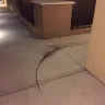 Irvine Company - corrupt landlord, illegal billing schemes, fraud, slumlord - Photo 52