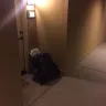 Irvine Company - corrupt landlord, illegal billing schemes, fraud, slumlord - Photo 85