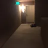 Irvine Company - corrupt landlord, illegal billing schemes, fraud, slumlord - Photo 158