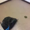 Irvine Company - corrupt landlord, illegal billing schemes, fraud, slumlord - Photo 184