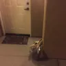 Irvine Company - corrupt landlord, illegal billing schemes, fraud, slumlord - Photo 202