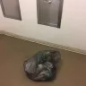 Irvine Company - corrupt landlord, illegal billing schemes, fraud, slumlord - Photo 206