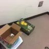 Irvine Company - corrupt landlord, illegal billing schemes, fraud, slumlord - Photo 239