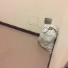 Irvine Company - corrupt landlord, illegal billing schemes, fraud, slumlord - Photo 251
