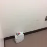 Irvine Company - corrupt landlord, illegal billing schemes, fraud, slumlord - Photo 255