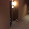 Irvine Company - corrupt landlord, illegal billing schemes, fraud, slumlord - Photo 260