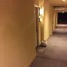 Irvine Company - corrupt landlord, illegal billing schemes, fraud, slumlord - Photo 261