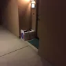 Irvine Company - corrupt landlord, illegal billing schemes, fraud, slumlord - Photo 267