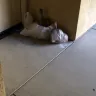 Irvine Company - corrupt landlord, illegal billing schemes, fraud, slumlord - Photo 280