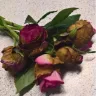 NetFlorist - early deterioration of roses in bouquet
