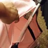Boardwalk Buy - pet stroller - Photo 1