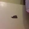 Motel 6 - quality of rooms - Photo 11