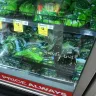 Woolworths - health risk - Photo 6