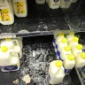 Woolworths - health risk - Photo 18