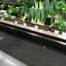 Woolworths - health risk - Photo 66