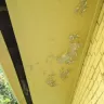 Waypoint Homes - Rental real estate - Photo 6